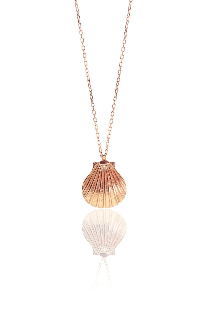 Sea Shell Necklace - arcina jewellery